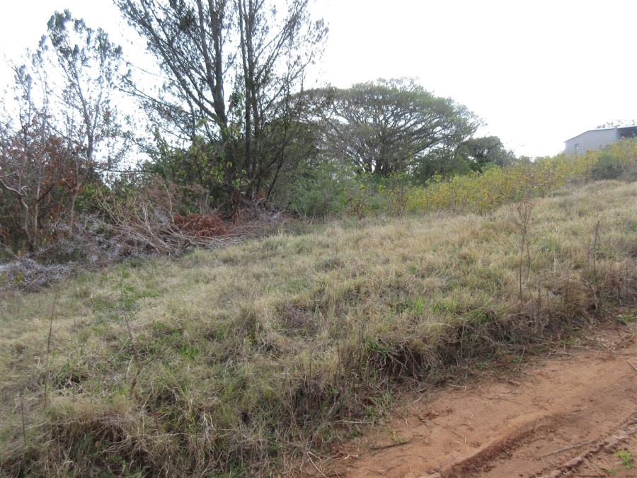 0 Bedroom Property for Sale in Bathurst Eastern Cape